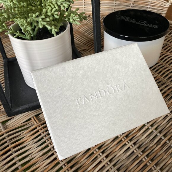 Pandora Jewelry Cleaning Kit Set with Box Polishing Cloth Brush Key Ring Authent - Picture 2 of 7